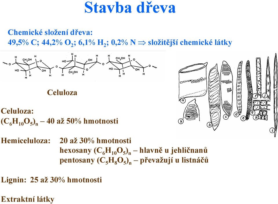 hmotnosti Hemiceluloza: 20 až 30% hmotnosti hexosany (C 6 H 10 O 5 ) n hlavně u