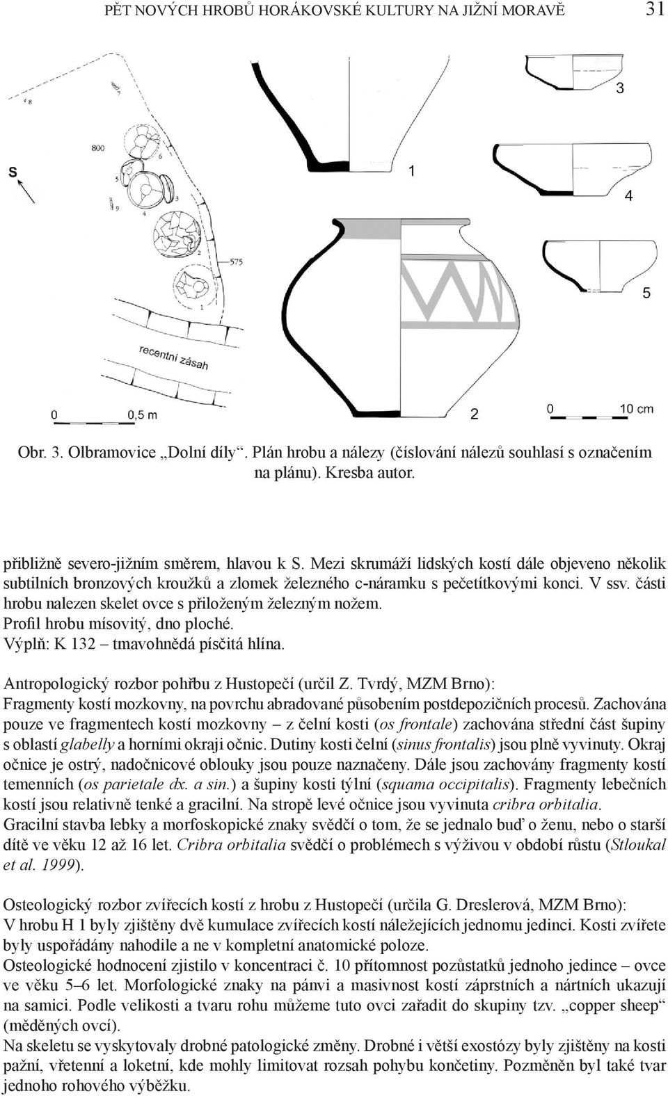 části hrobu nalezen skelet ovce s přiloženým železným nožem. Profil hrobu mísovitý, dno ploché. Výplň: K 132 tmavohnědá písčitá hlína. Antropologický rozbor pohřbu z Hustopečí (určil Z.