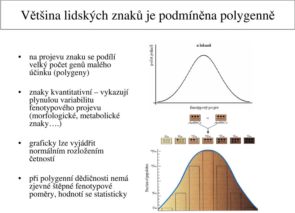 projevu (morfologické, metabolické znaky.