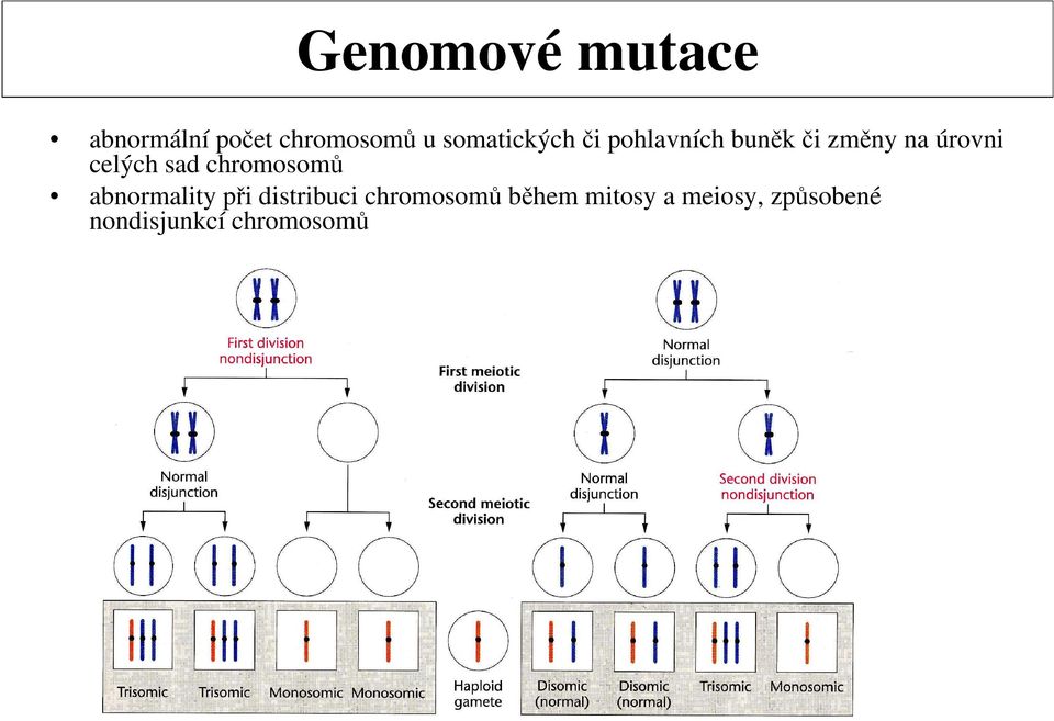 celých sad chromosomů abnormality při distribuci