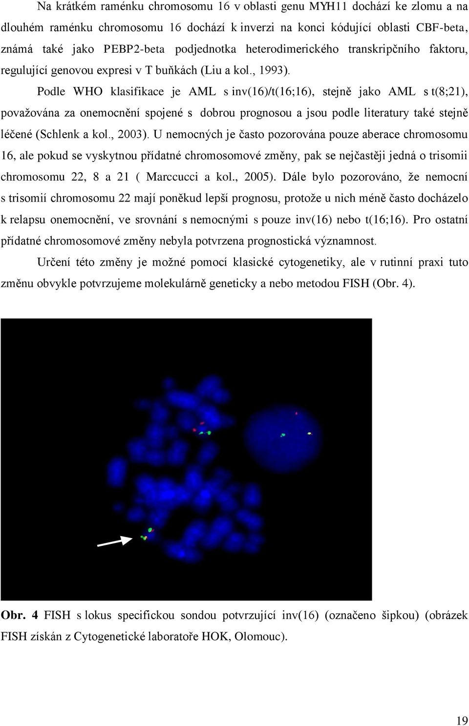 Podle WHO klasifikace je AML s inv(16)/t(16;16), stejně jako AML s t(8;21), považována za onemocnění spojené s dobrou prognosou a jsou podle literatury také stejně léčené (Schlenk a kol., 2003).