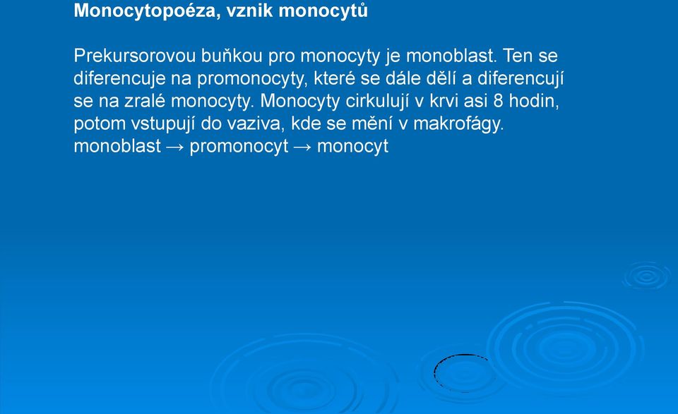 Ten se diferencuje na promonocyty, které se dále dělí a diferencují se