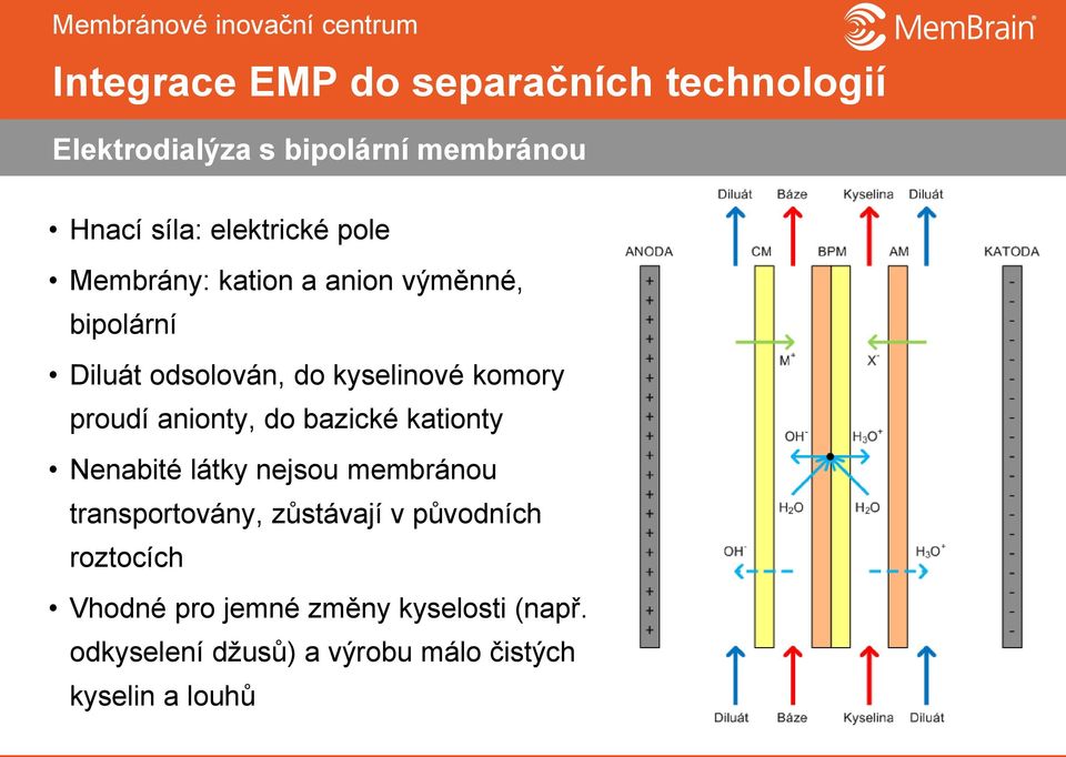 kationty Nenabité látky nejsou membránou transportovány, zůstávají v původních roztocích