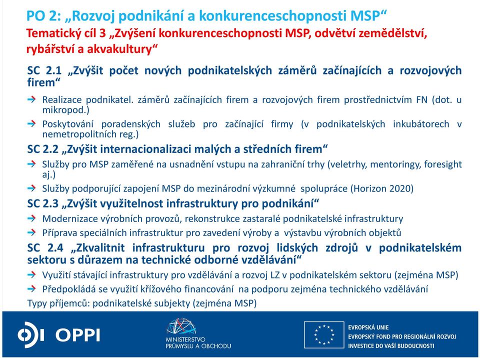 ) Poskytování poradenských služeb pro začínající firmy (v podnikatelských inkubátorech v nemetropolitních reg.) SC 2.