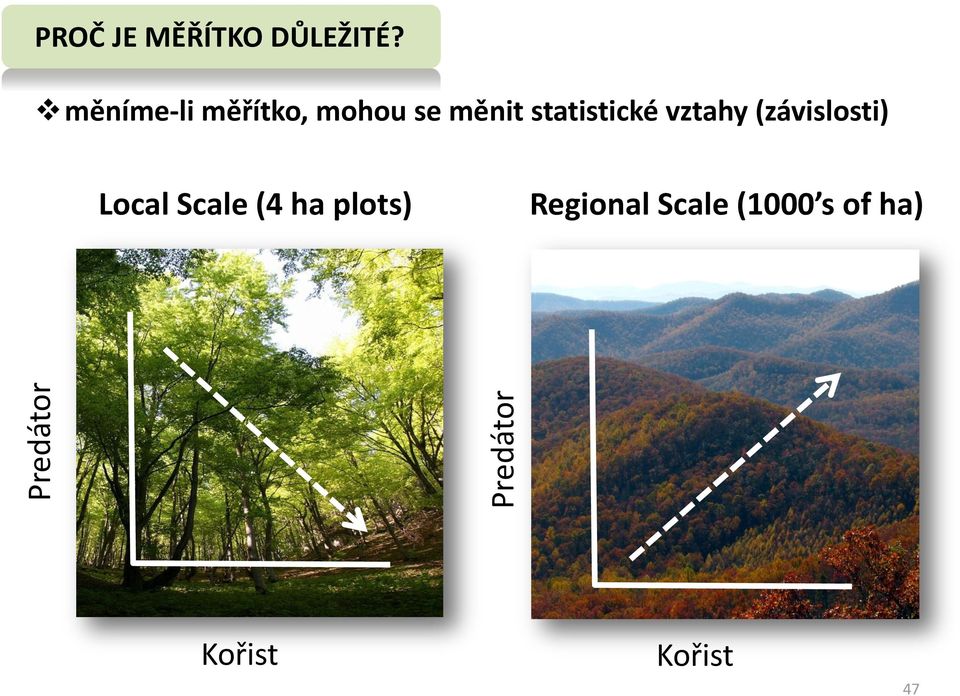 vztahy (závislosti) Local Scale (4 ha plots)