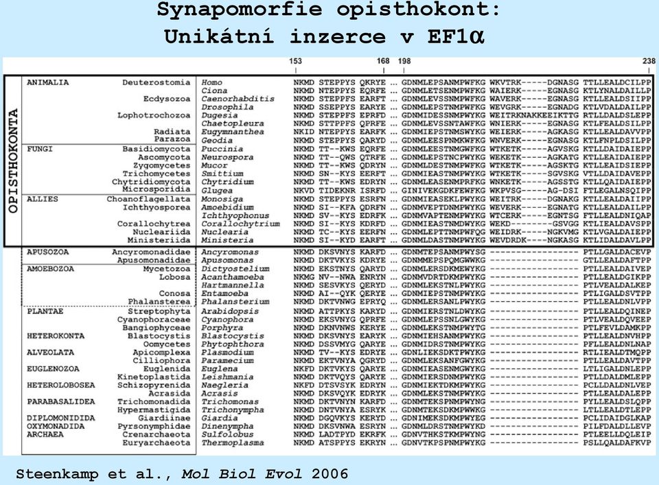 inzerce v EF1α