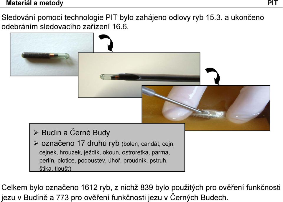 6. Budín a Černé Budy označeno 17 druhů ryb (bolen, candát, cejn, cejnek, hrouzek, ježdík, okoun, ostroretka,