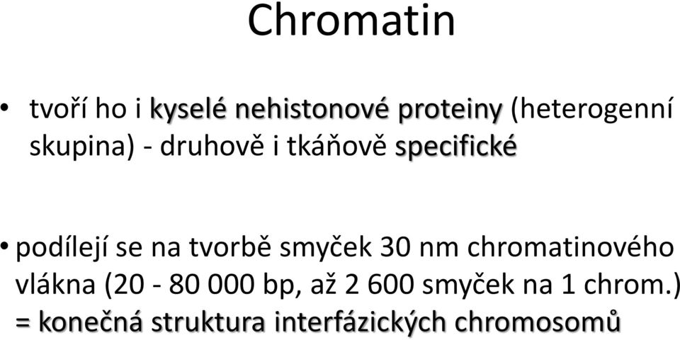 smyček 30 nm chromatinového vlákna (20-80 000 bp, až 2 600