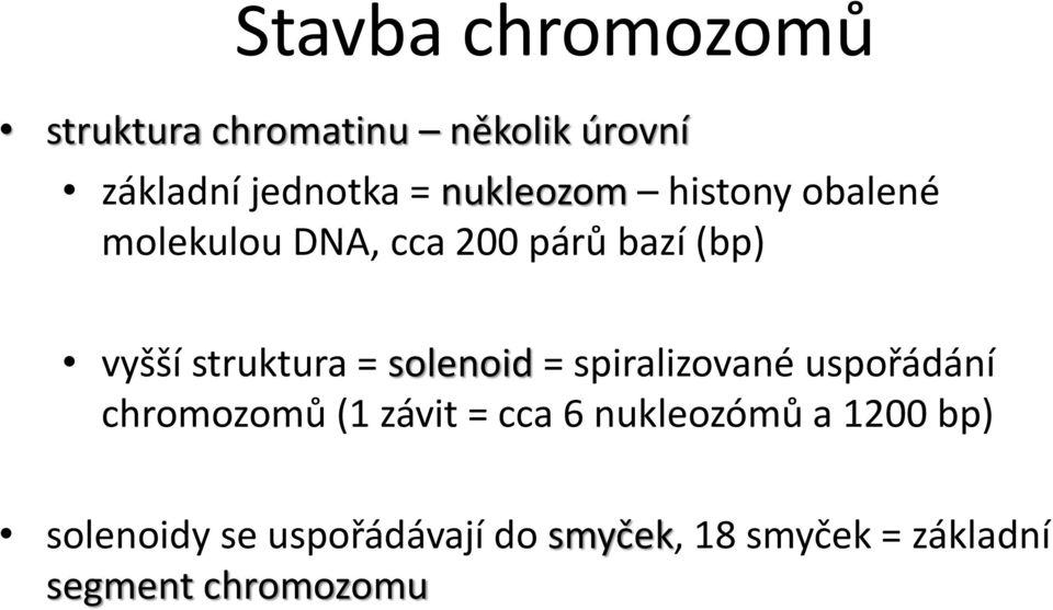 = solenoid = spiralizované uspořádání chromozomů (1 závit = cca 6 nukleozómů a