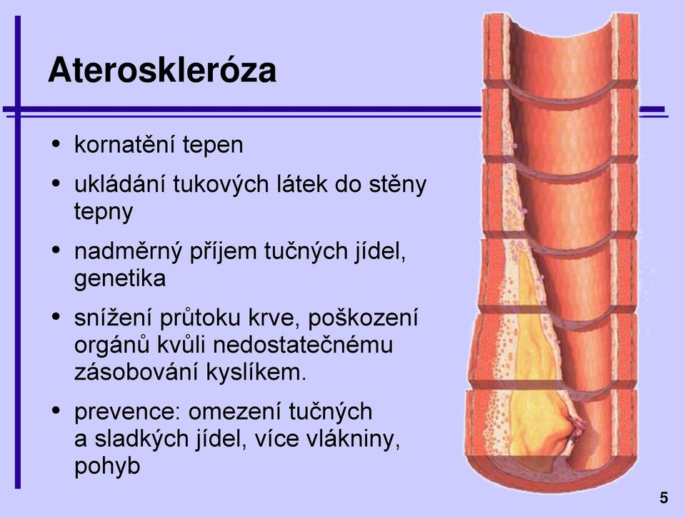 krve, poškození orgánů kvůli nedostatečnému zásobování kyslíkem.