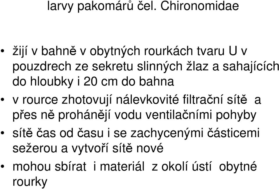 a sahajících do hloubky i 20 cm do bahna v rource zhotovují nálevkovité filtrační sítě a