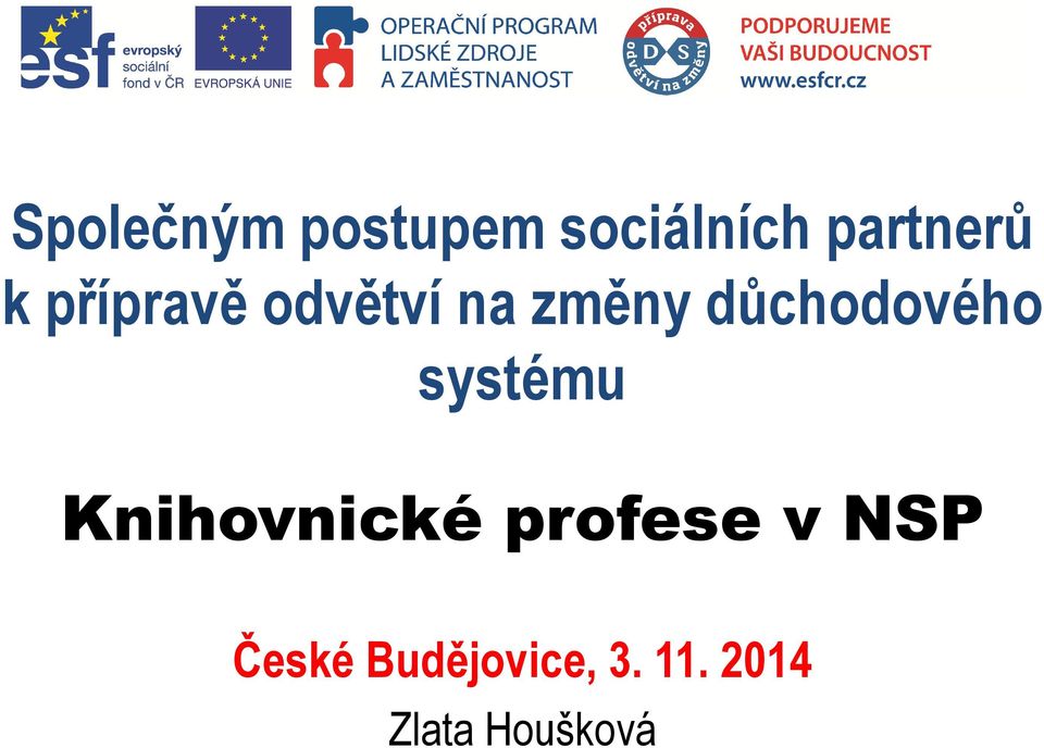 systému Knihovnické profese v NSP České