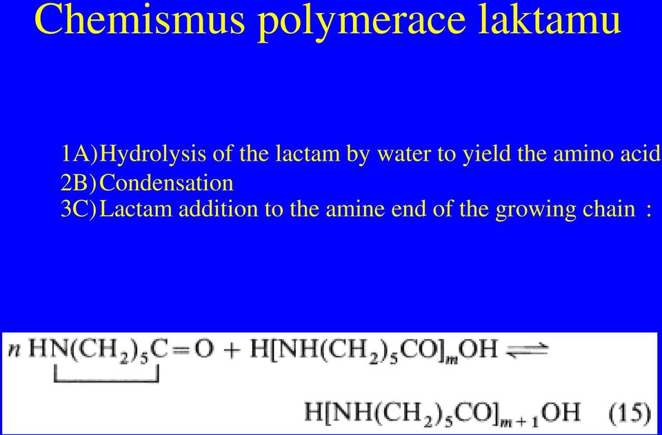 yield the amino acid 2B) Condensation 3C)