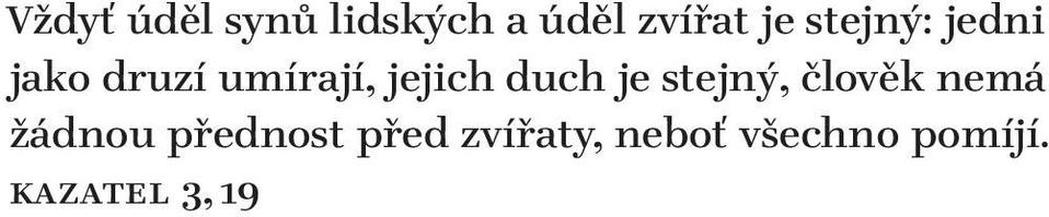duch je stejný, člověk nemá žádnou přednost