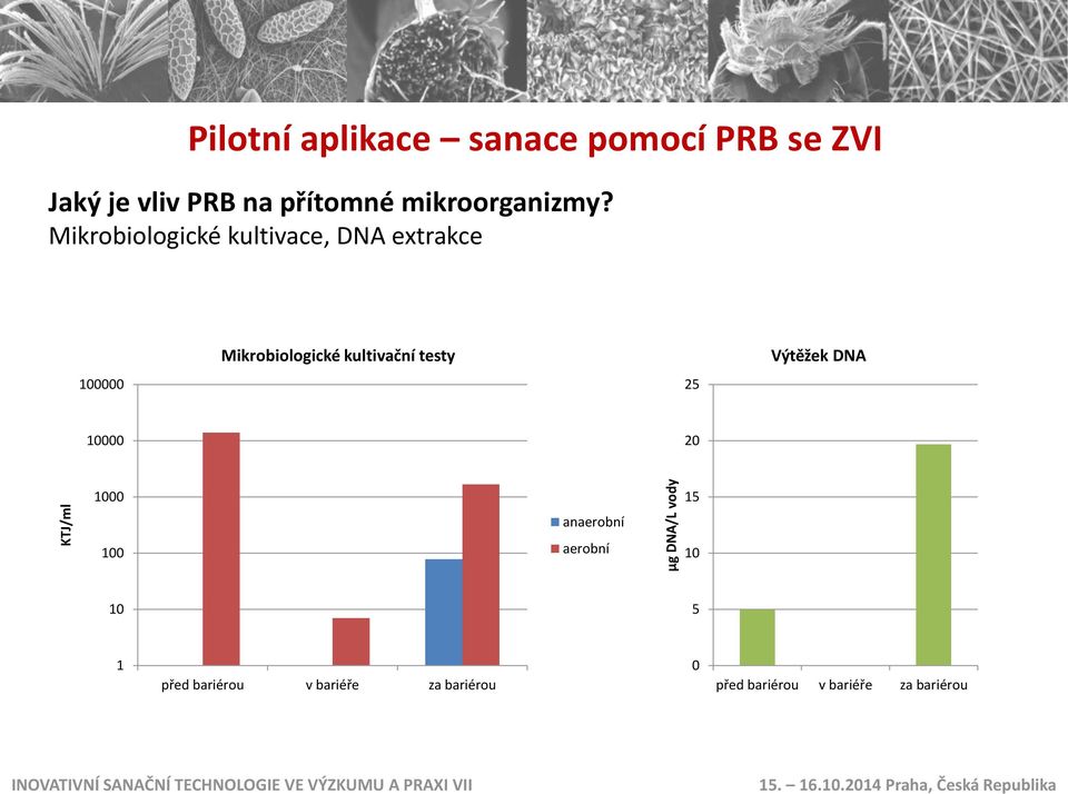 Mikrobiologické kultivace, DNA extrakce Mikrobiologické kultivační testy Výtěžek