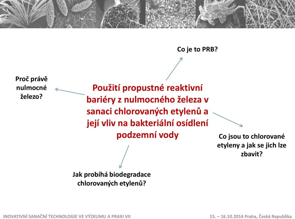 chlorovaných etylenů a její vliv na bakteriální osídlení podzemní