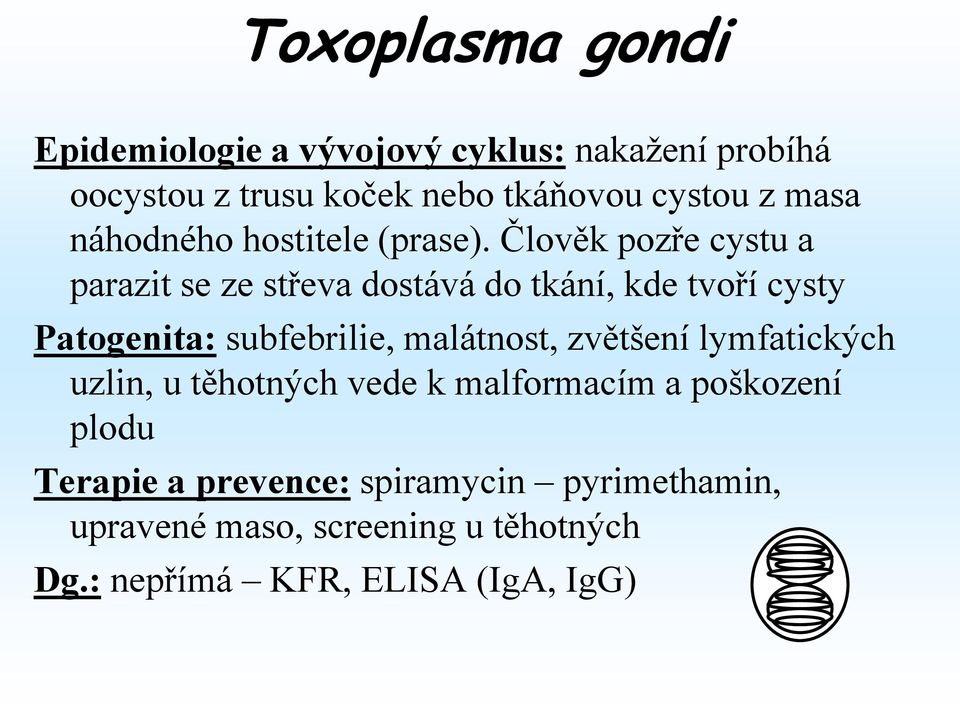 Člověk pozře cystu a parazit se ze střeva dostává do tkání, kde tvoří cysty Patogenita: subfebrilie, malátnost,