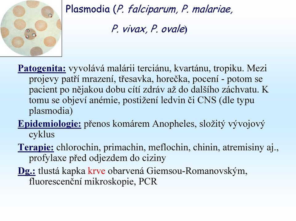 K tomu se objeví anémie, postižení ledvin či CNS (dle typu plasmodia) Epidemiologie: přenos komárem Anopheles, složitý vývojový cyklus