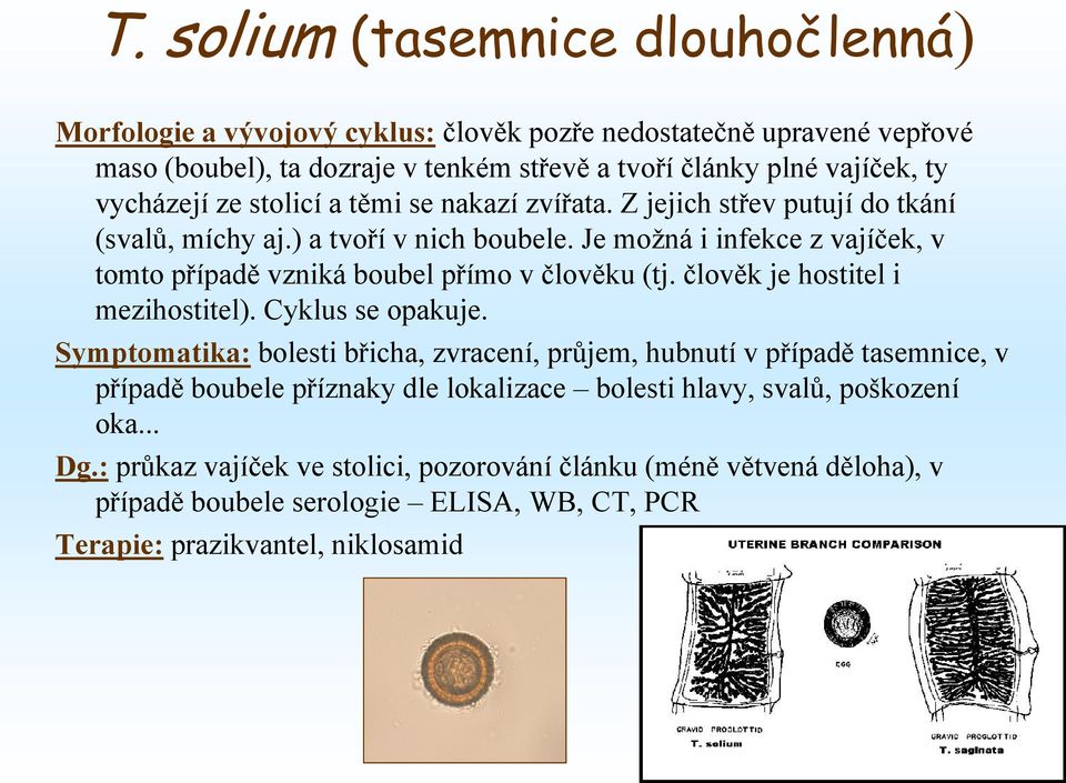 Je možná i infekce z vajíček, v tomto případě vzniká boubel přímo v člověku (tj. člověk je hostitel i mezihostitel). Cyklus se opakuje.