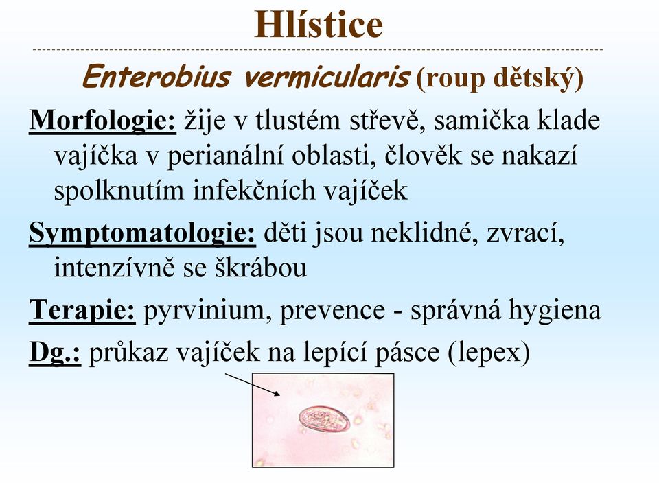 vajíček Symptomatologie: děti jsou neklidné, zvrací, intenzívně se škrábou