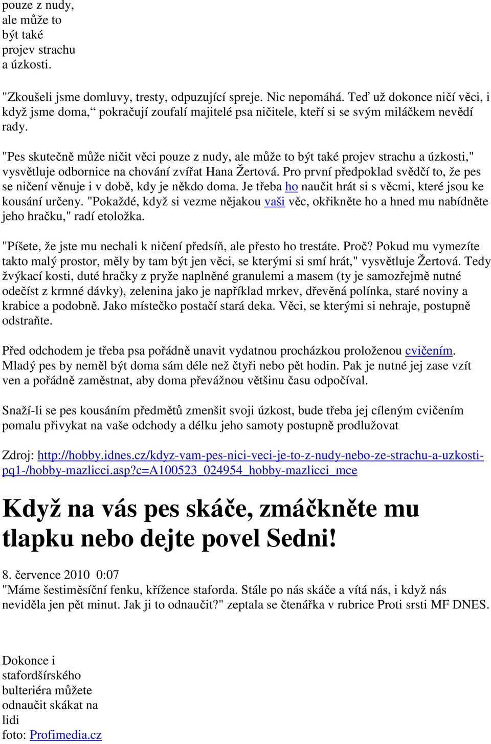"Pes skutečně může ničit věci pouze z nudy, ale může to být také projev strachu a úzkosti," vysvětluje odbornice na chování zvířat Hana Žertová.