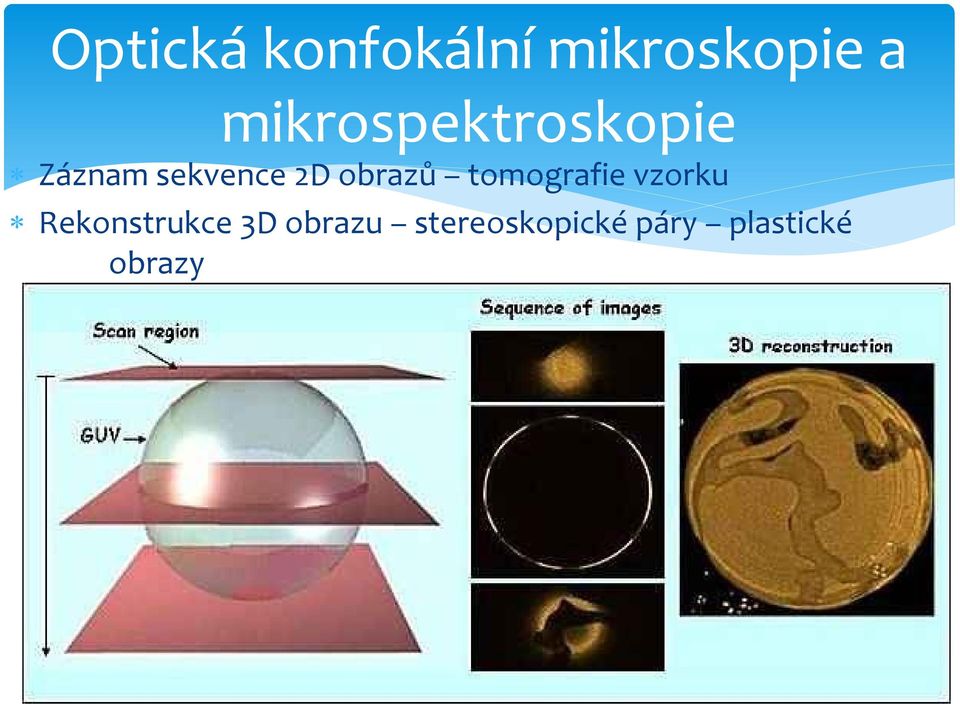 Rekonstrukce 3D obrazu