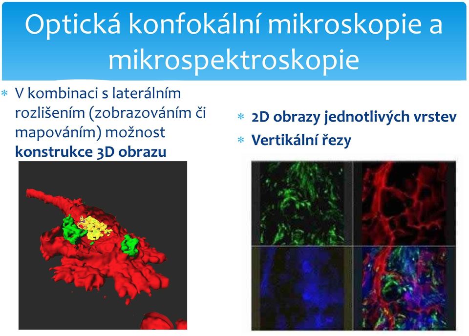 mapováním) možnost konstrukce 3D