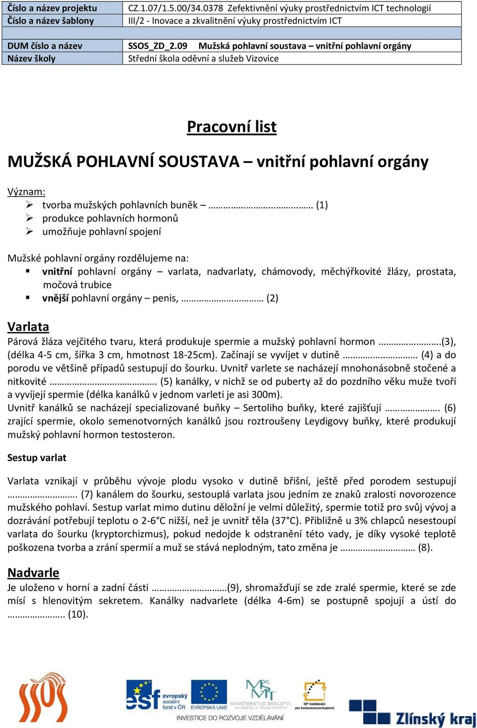 spermie a mužský pohlavní hormon.(3), (délka 4-5 cm, šířka 3 cm, hmotnost 18-25cm). Začínají se vyvíjet v dutině (4) a do porodu ve většině případů sestupují do šourku.