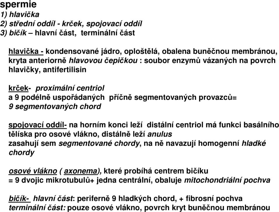 horním konci leží distální centriol má funkci basálního tělíska pro osové vlákno, distálně leží anulus zasahují sem segmentované chordy, na ně navazují homogenní hladké chordy osové vlákno (