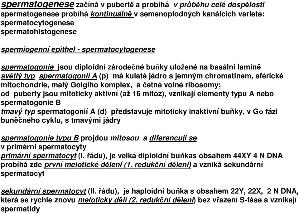 komplex, a četné volné ribosomy; od puberty jsou mitoticky aktivní (až 16 mitóz), vznikají elementy typu A nebo spermatogonie B tmavý typ spermatogonií A (d) představuje mitoticky inaktivní buňky, v