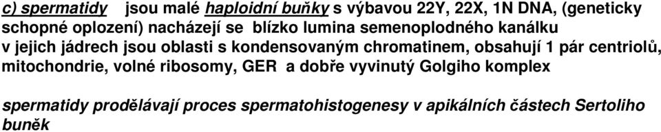 chromatinem, obsahují 1 pár centriolů, mitochondrie, volné ribosomy, GER a dobře vyvinutý