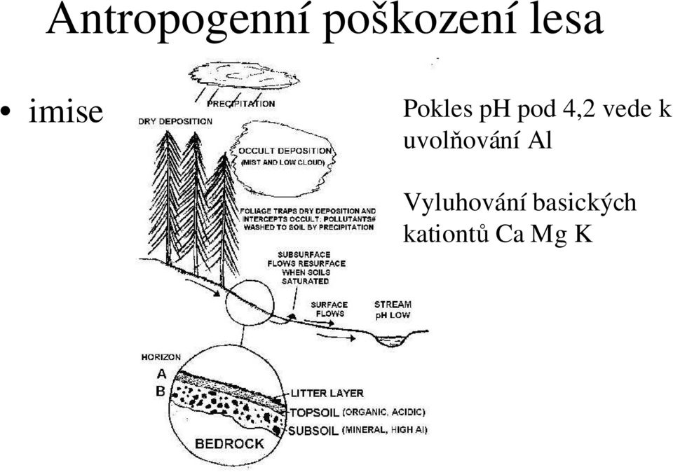 vede k uvolňování Al