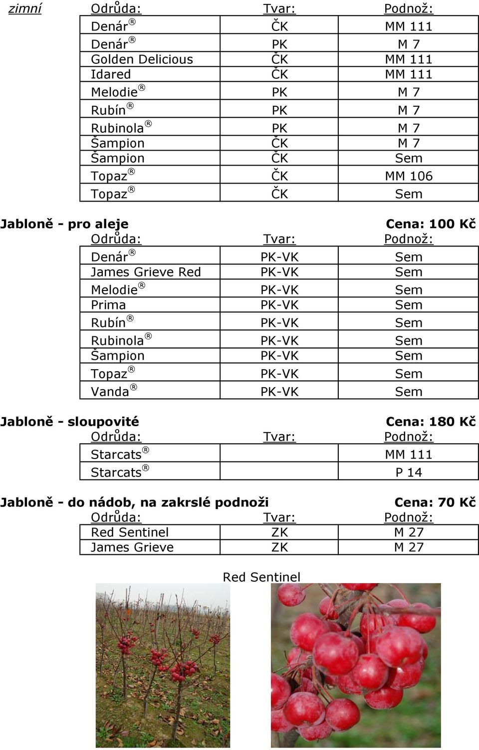 Sem Prima PK-VK Sem Rubín PK-VK Sem Rubinola PK-VK Sem Šampion PK-VK Sem Topaz PK-VK Sem Vanda PK-VK Sem Jabloně - sloupovité Cena: 180