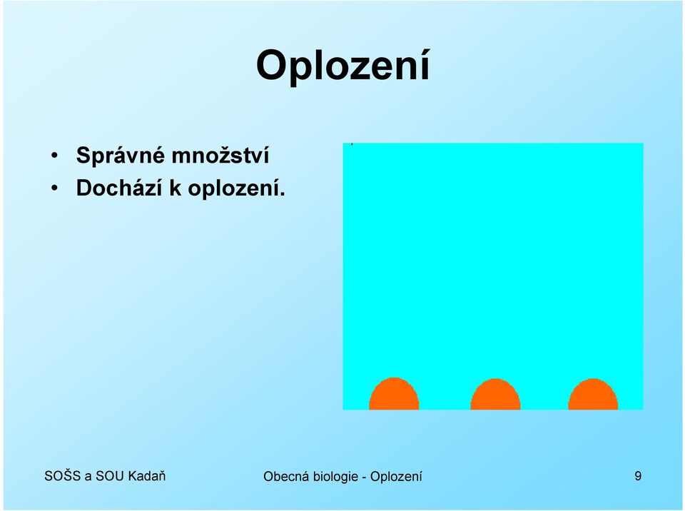 oplození.