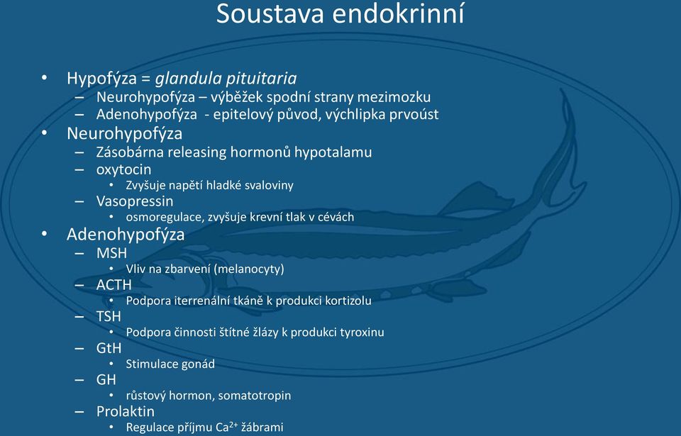 osmoregulace, zvyšuje krevní tlak v cévách Adenohypofýza MSH Vliv na zbarvení (melanocyty) ACTH Podpora iterrenální tkáně k produkci