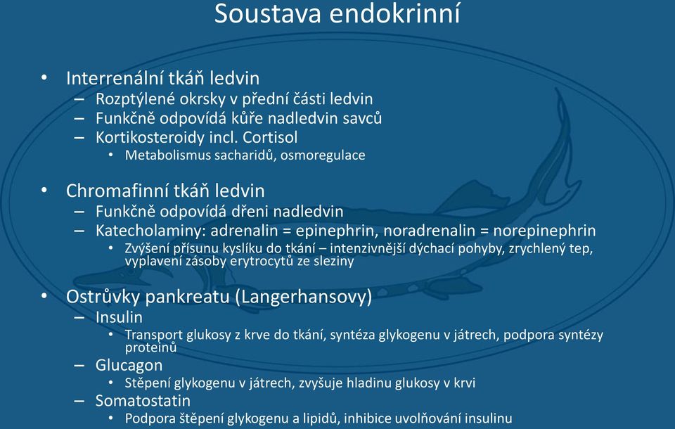 Zvýšení přísunu kyslíku do tkání intenzivnější dýchací pohyby, zrychlený tep, vyplavení zásoby erytrocytů ze sleziny Ostrůvky pankreatu (Langerhansovy) Insulin Transport glukosy