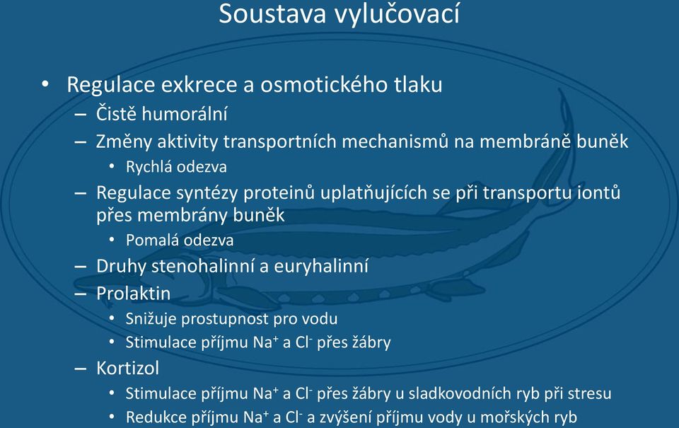 stenohalinní a euryhalinní Prolaktin Snižuje prostupnost pro vodu Stimulace příjmu Na + a Cl - přes žábry Kortizol Stimulace