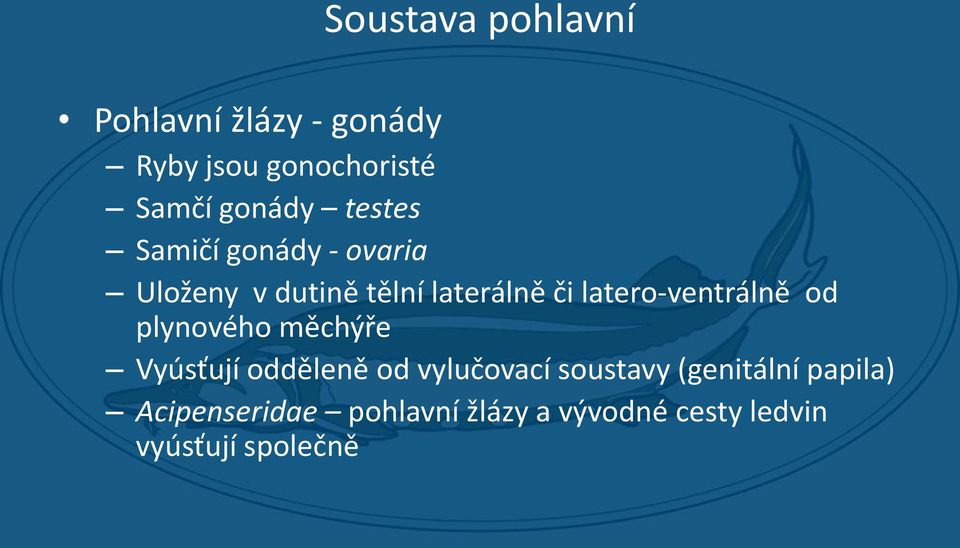 latero-ventrálně od plynového měchýře Vyúsťují odděleně od vylučovací