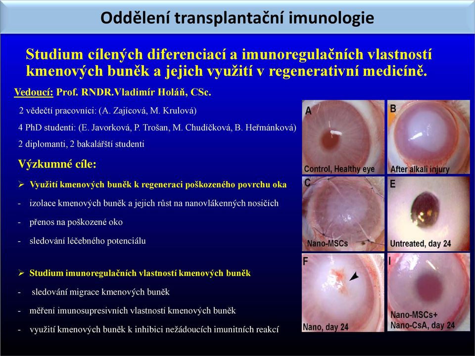 Heřmánková) 2 diplomanti, 2 bakalářští studenti Výzkumné cíle: Využití kmenových buněk k regeneraci poškozeného povrchu oka - izolace kmenových buněk a jejich růst na nanovlákenných nosičích