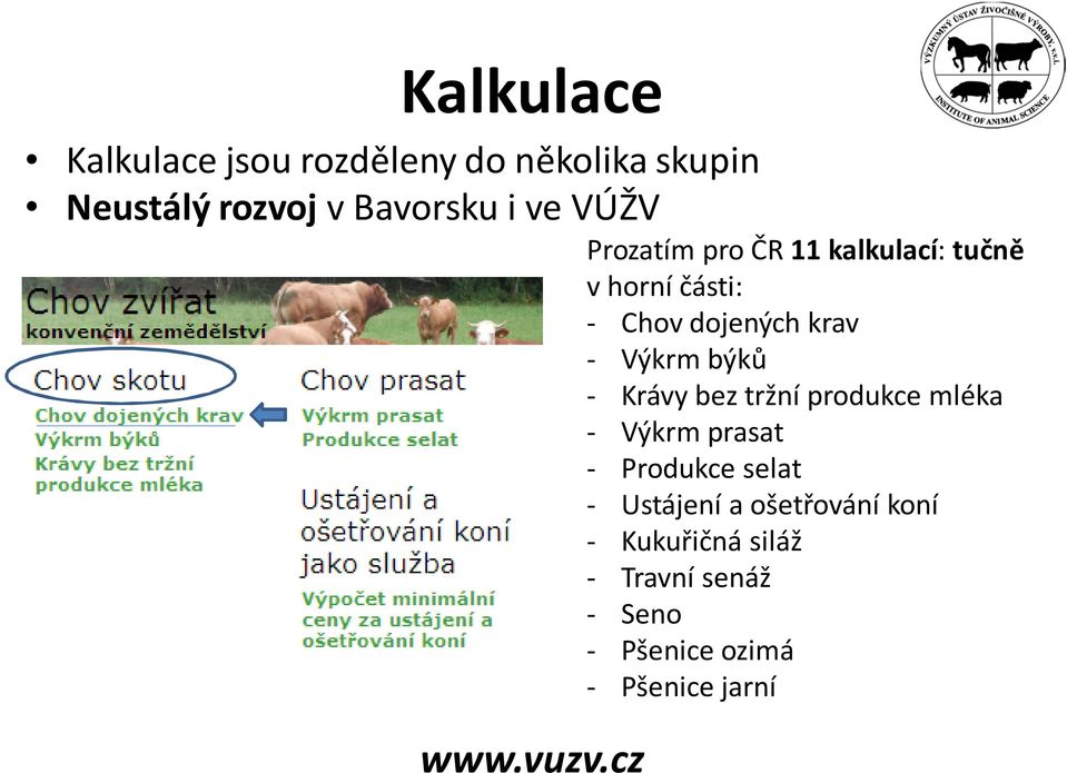 býků - Krávy bez tržní produkce mléka - Výkrm prasat - Produkce selat - Ustájení a