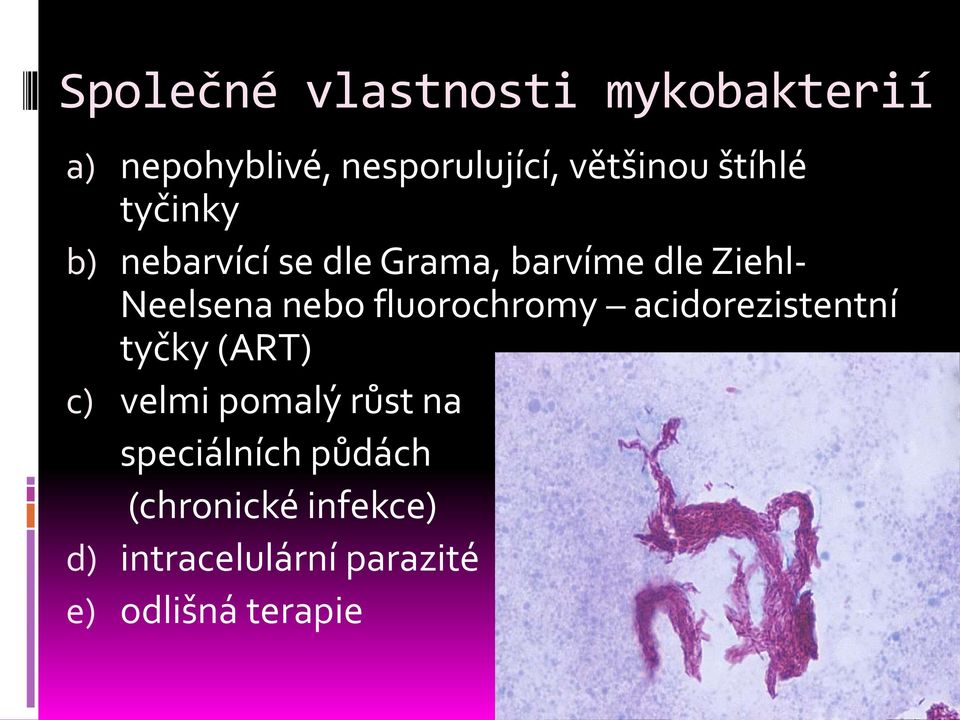 fluorochromy acidorezistentní tyčky (ART) c) velmi pomalý růst na