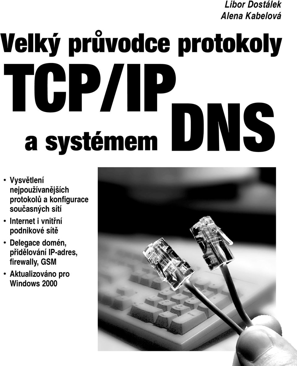 současných sítí Internet i vnitřní podnikové sítě Delegace domén,