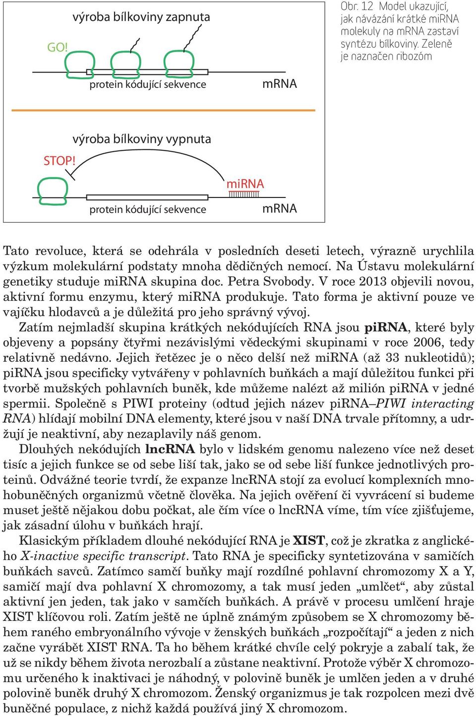 protein kódující sekvence mirna mrna Tato revoluce, která se odehrála v posledních deseti letech, výrazně urychlila výzkum molekulární podstaty mnoha dědičných nemocí.