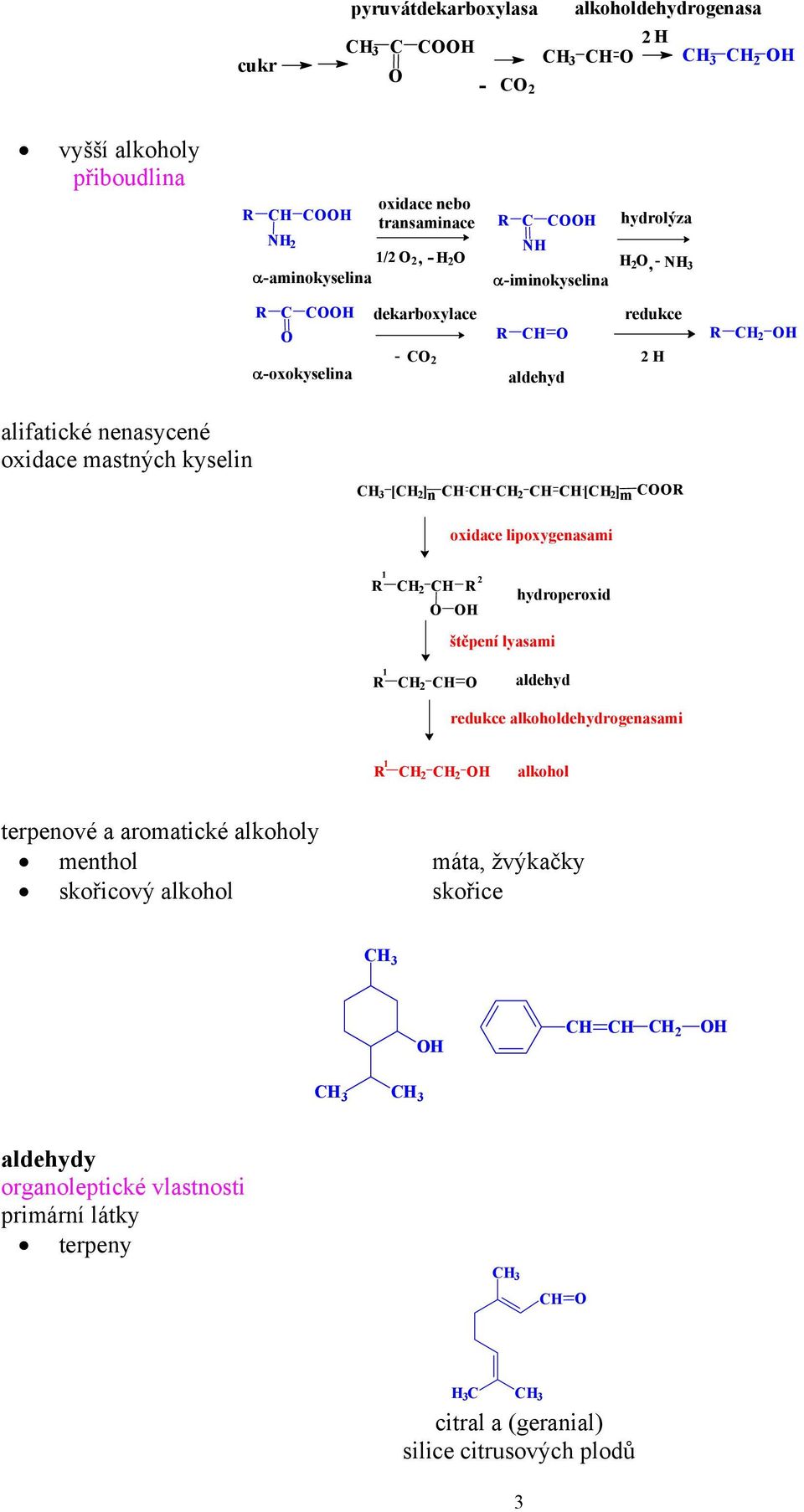 m C oxidace lipoxygenasami H štěpení lyasami hydroperoxid aldehyd redukce alkoholdehydrogenasami H alkohol terpenové a aromatické alkoholy