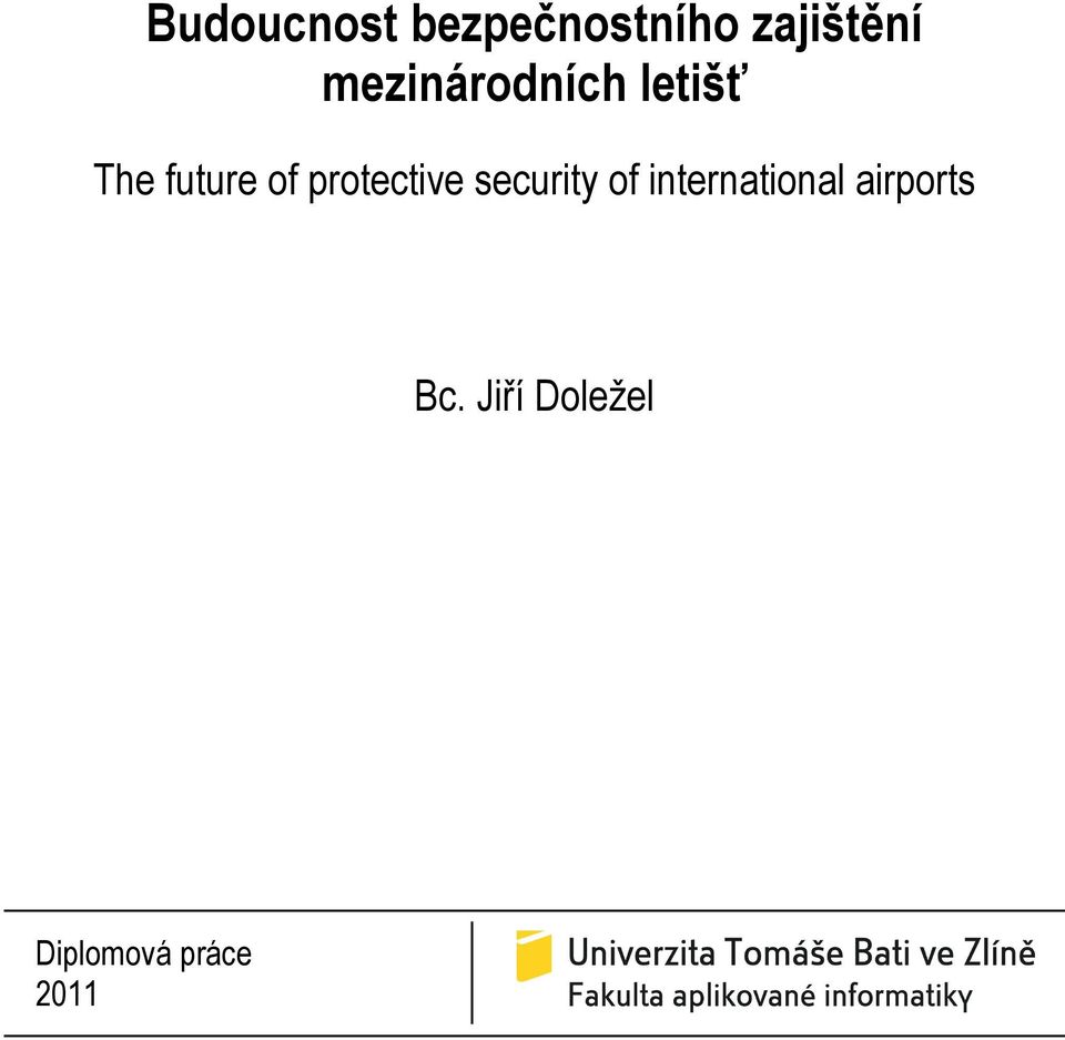 protective security of international