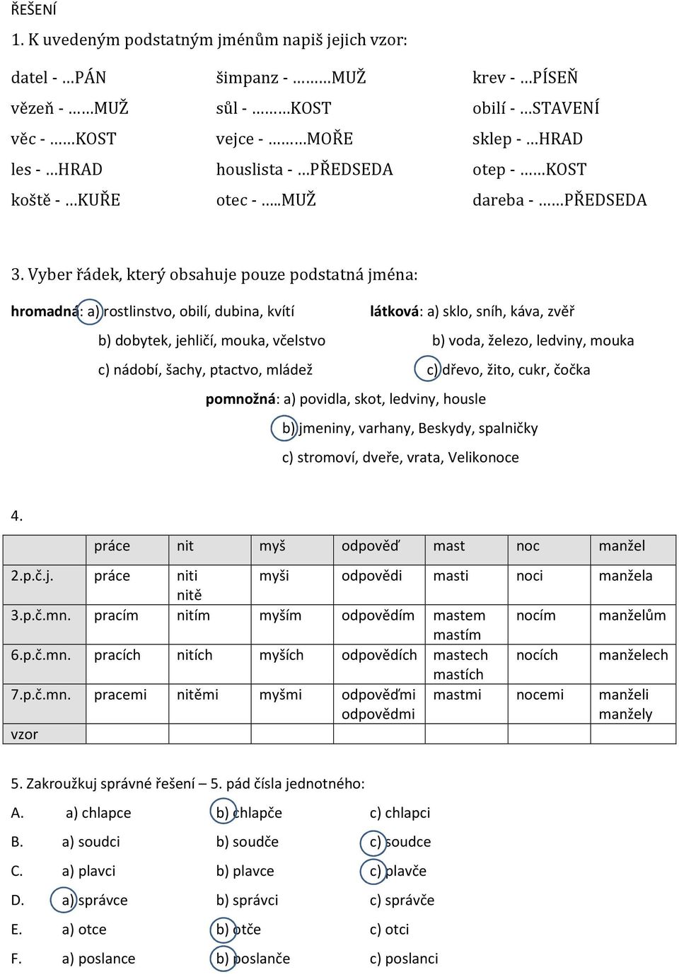 PODSTATNÁ JMÉNA opakování - PDF Stažení zdarma