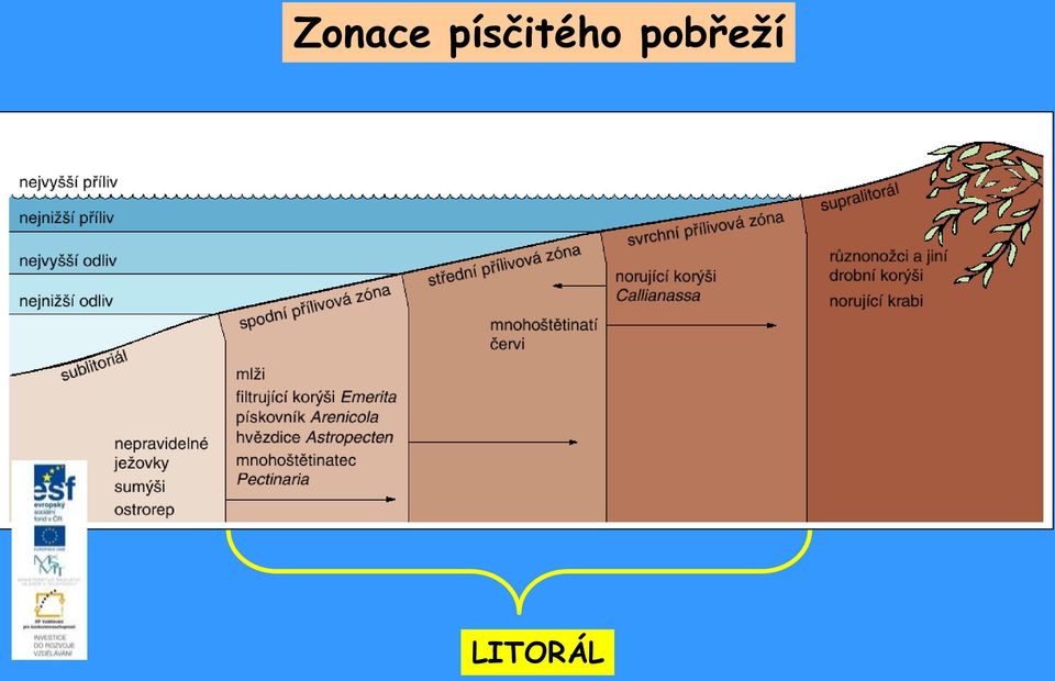 pobřeží