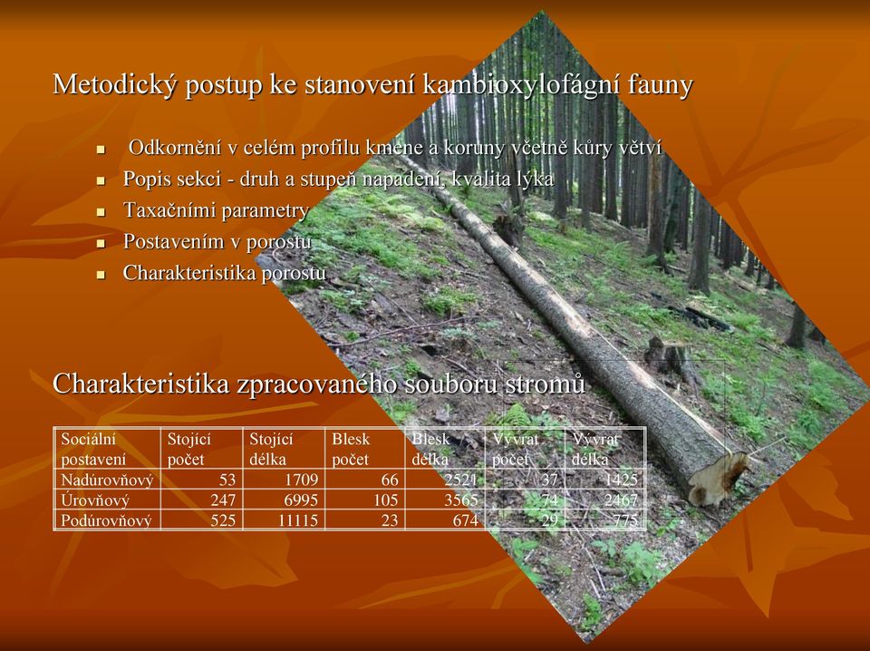 štíhlostní kvocient, korunové procento), stanovištních podmínkách (nadmořská výška, expozice, SLT) výši populace