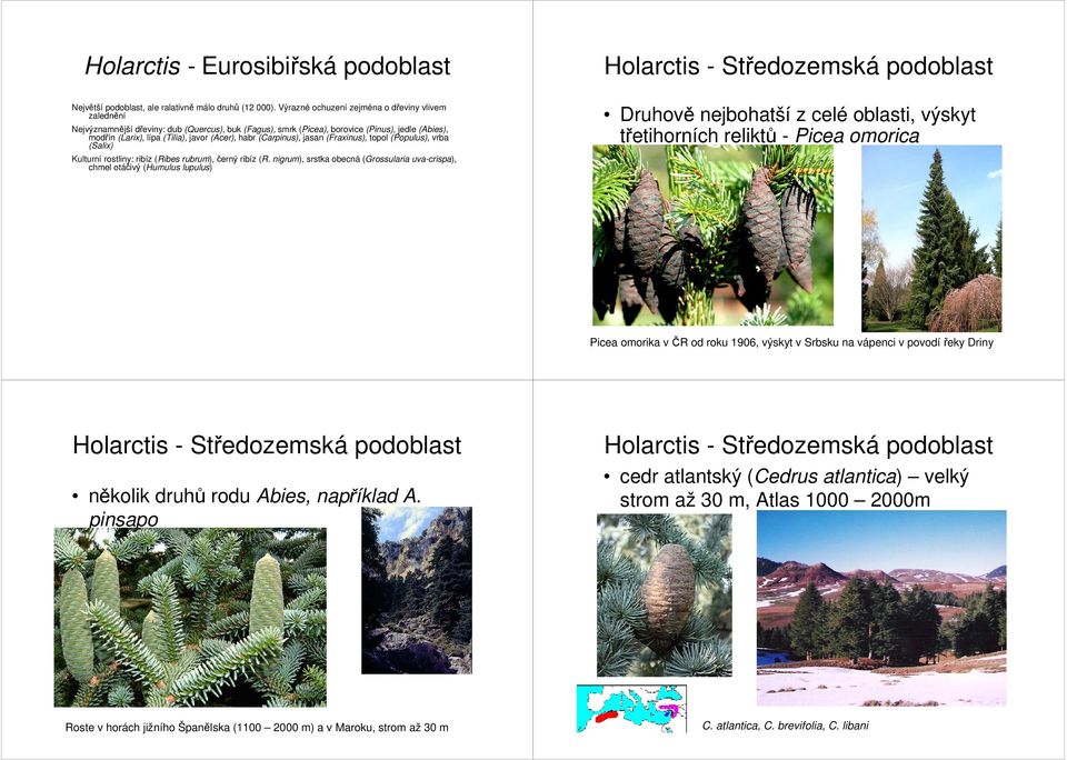 (Carpinus), jasan (Fraxinus), topol (Populus), vrba (Salix) Kulturní rostliny: ribíz (Ribes rubrum), černý ribíz (R.