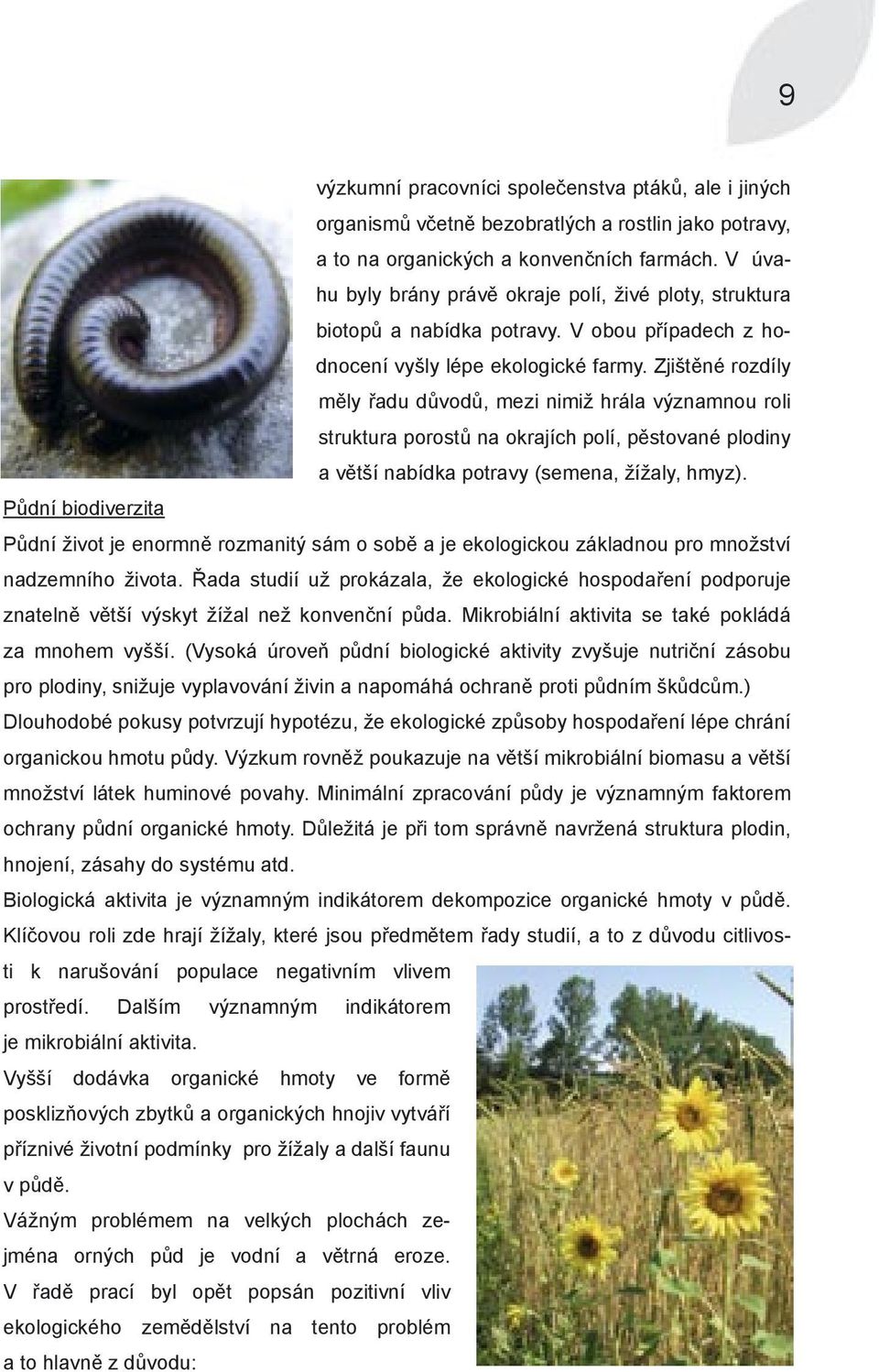 Zjištěné rozdíly měly řadu důvodů, mezi nimiž hrála významnou roli struktura porostů na okrajích polí, pěstované plodiny a větší nabídka potravy (semena, žížaly, hmyz).
